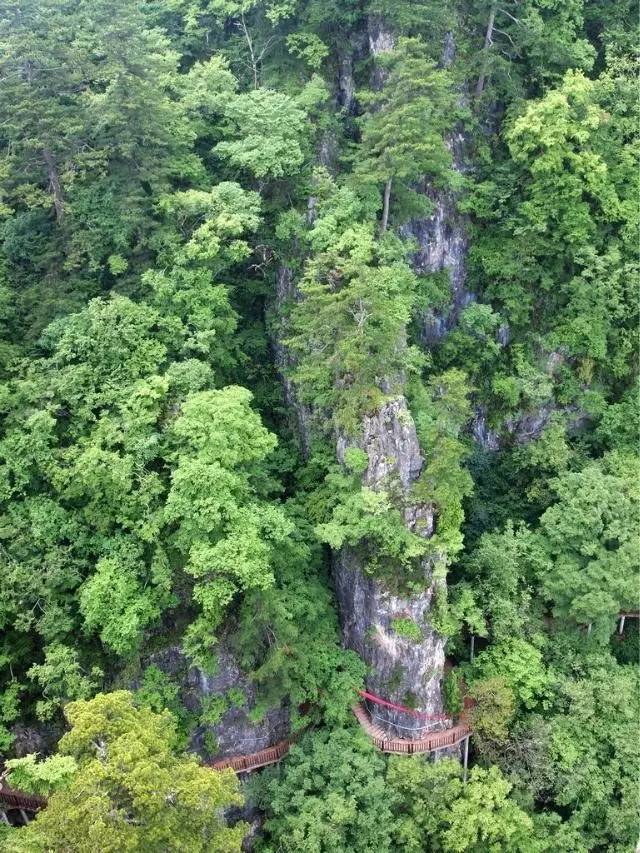 右玉高天古道最新消息，历史与未来的交汇点