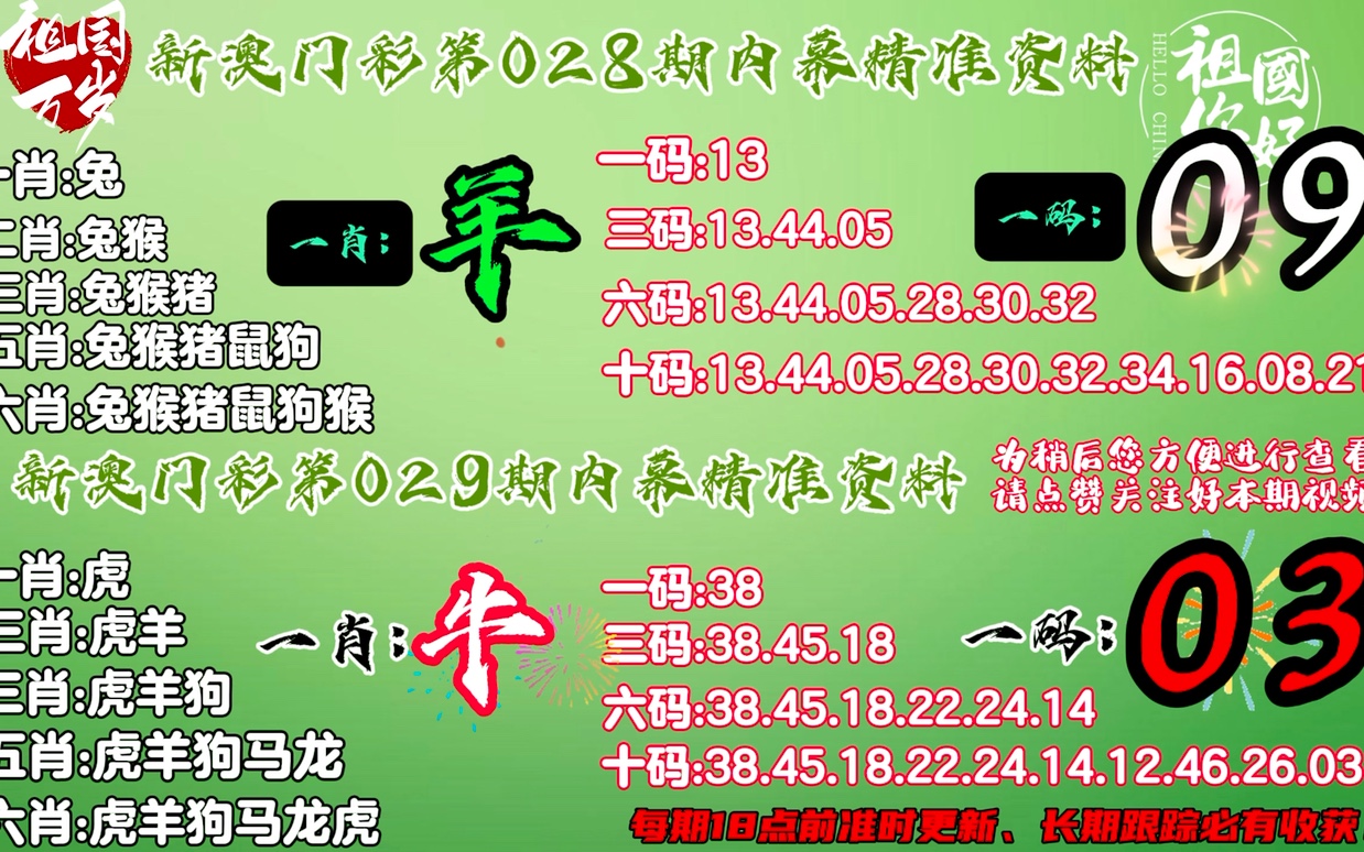 一肖一码，精准资料的解析、解释与落实