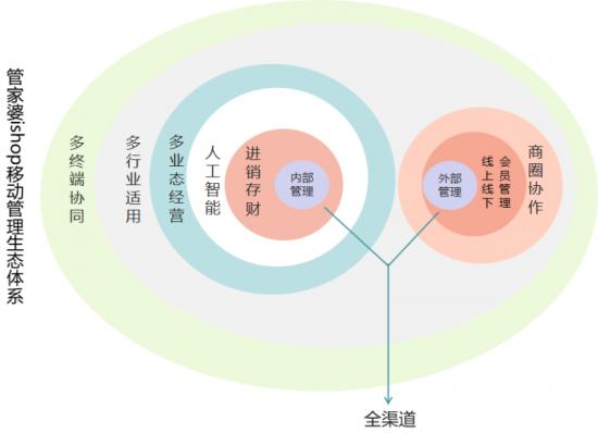 探索精准管家婆系统，解析、免费应用与实践落实