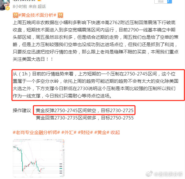 一肖一码中持一一肖一码，精选解析、深入解释与实际操作落实