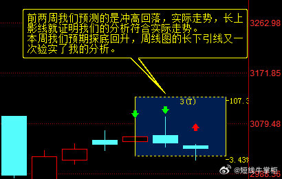 一肖一码一中一特，精选解析与落实策略