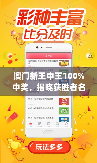 澳门王中王100%最新正品解析与精选解析解释落实策略