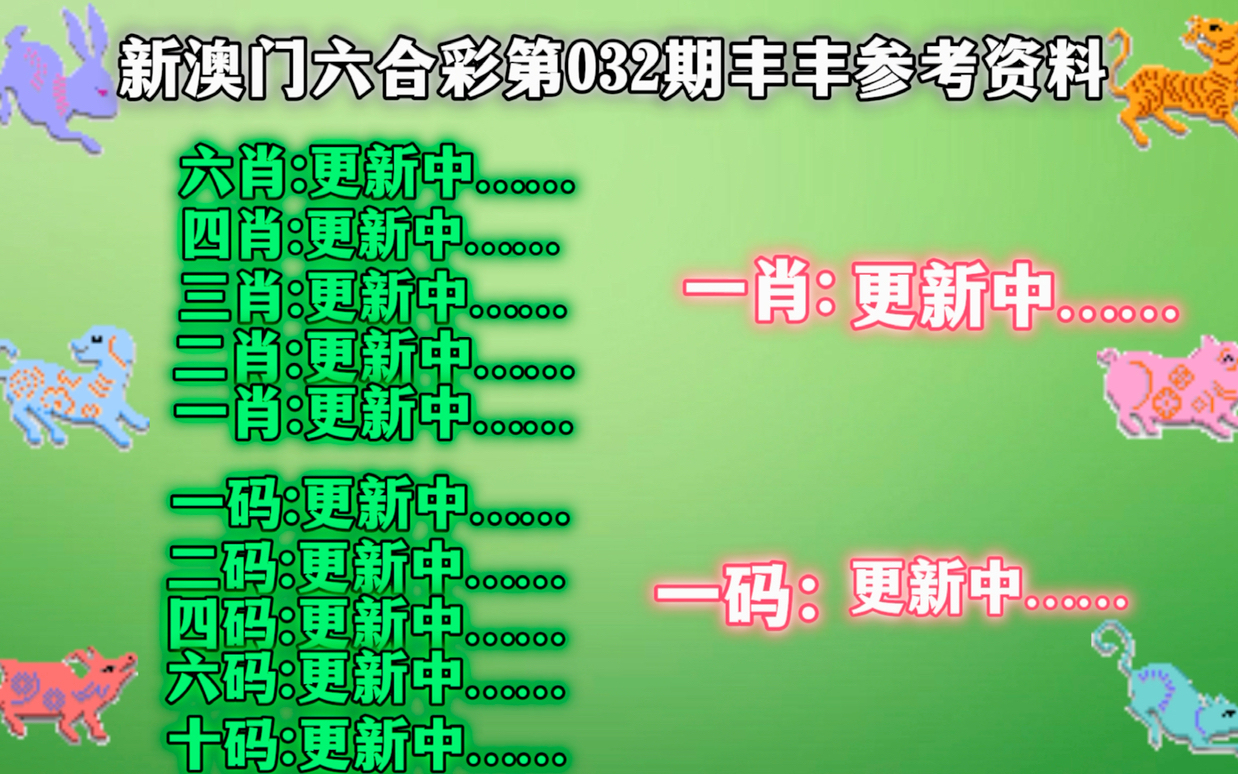 一肖一码，精准资料的解析、解释与落实