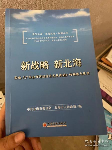 新澳2025年正版资料精选解析与落实策略