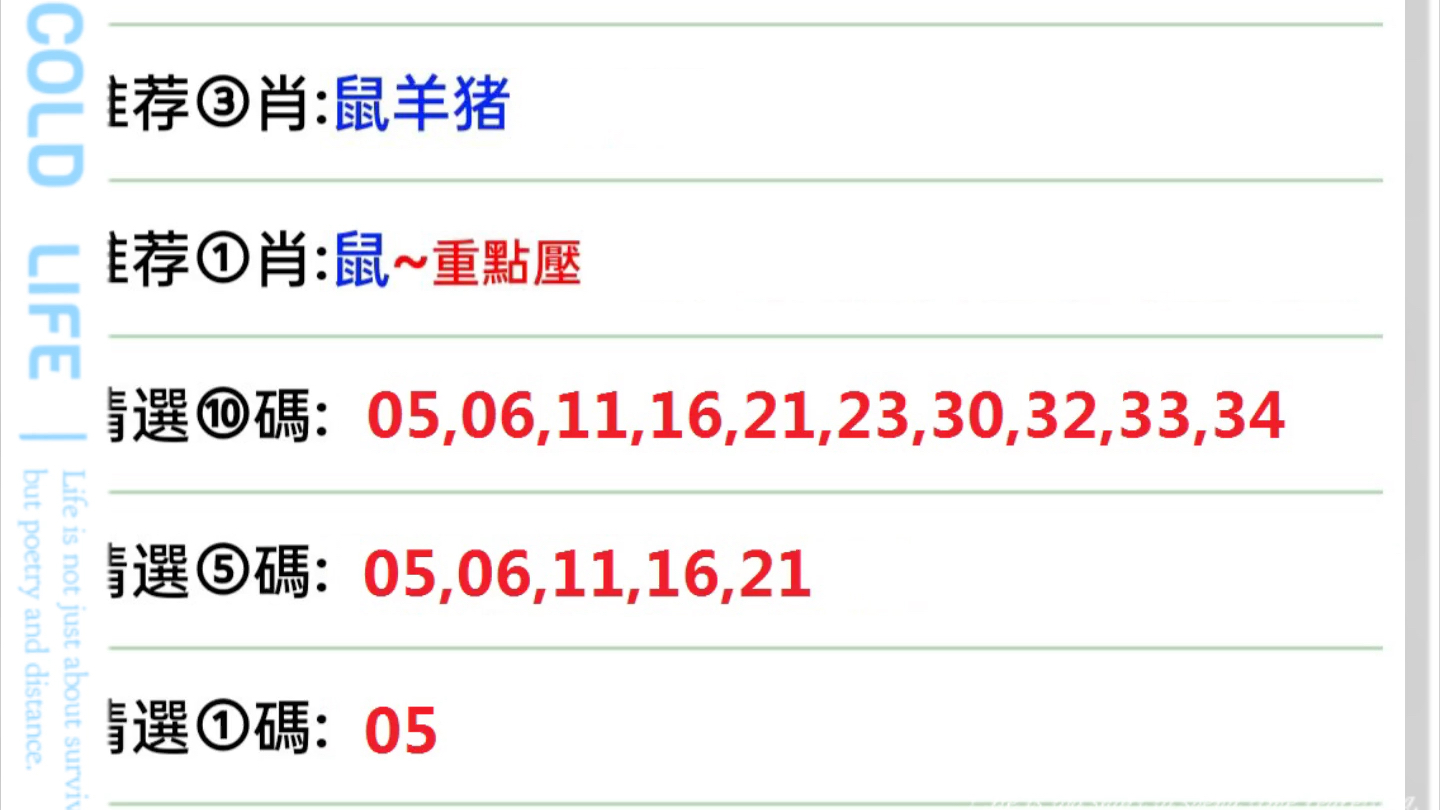 澳门特马今期开奖结果查询与精选解析，落实解释的重要性