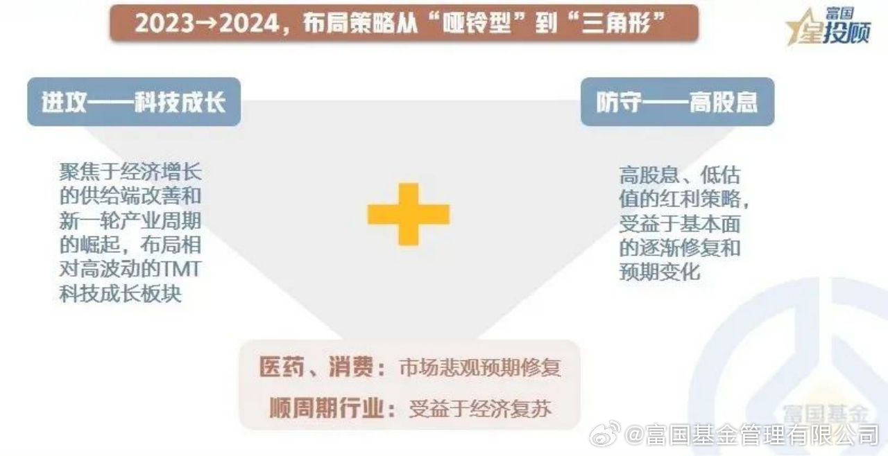 2025年一肖一码一中一特之精选解析与落实策略